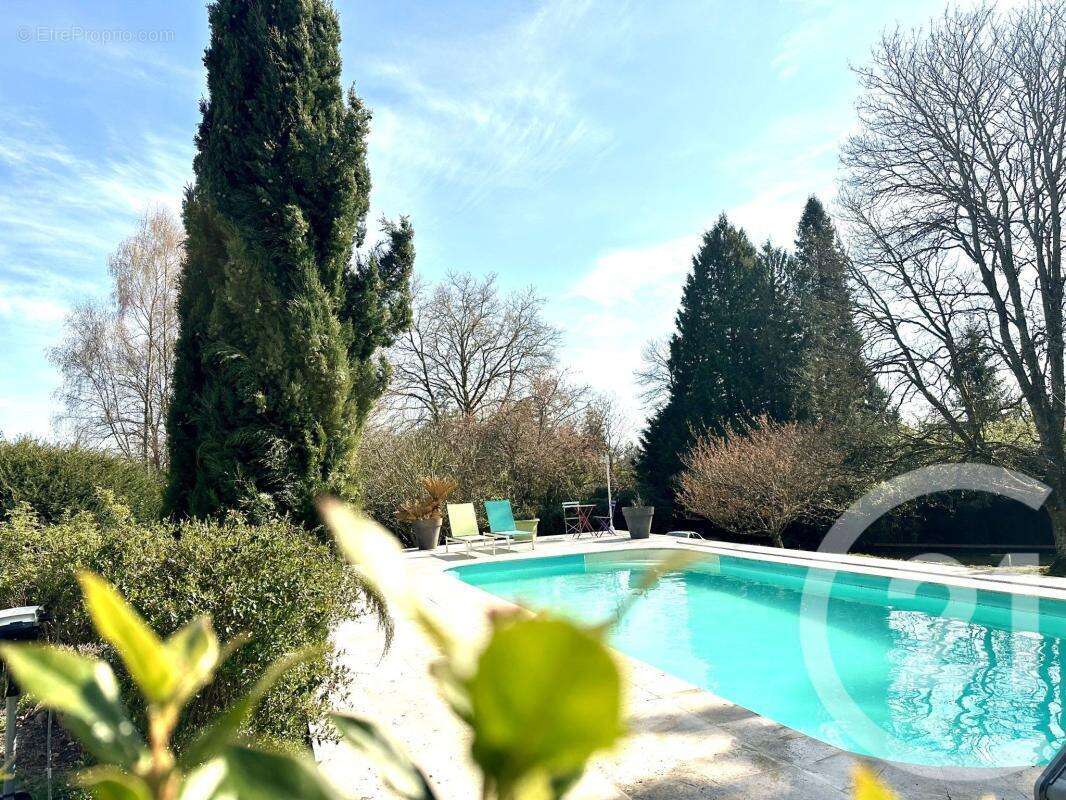 Propriété - photo 2