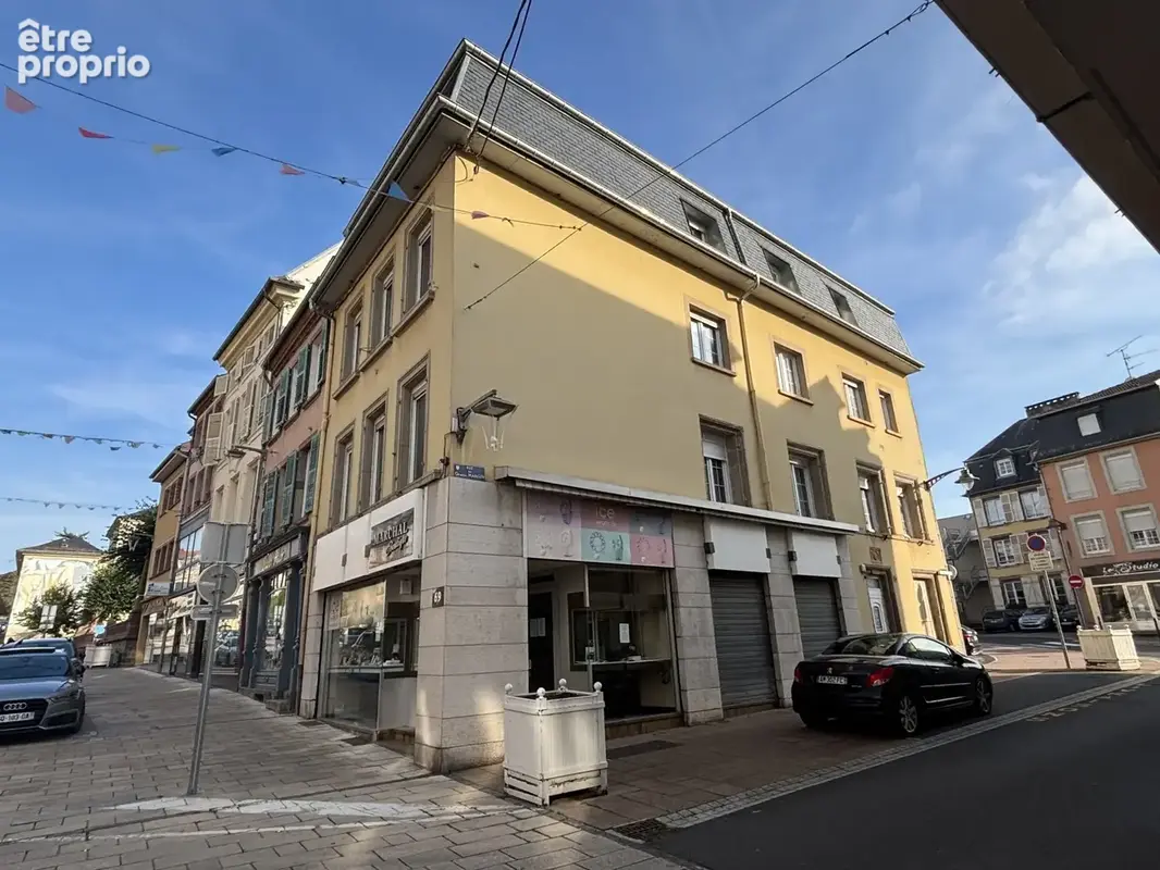 Appartement 310 m² à vendre à Sarrebourg (57400) - photo 2