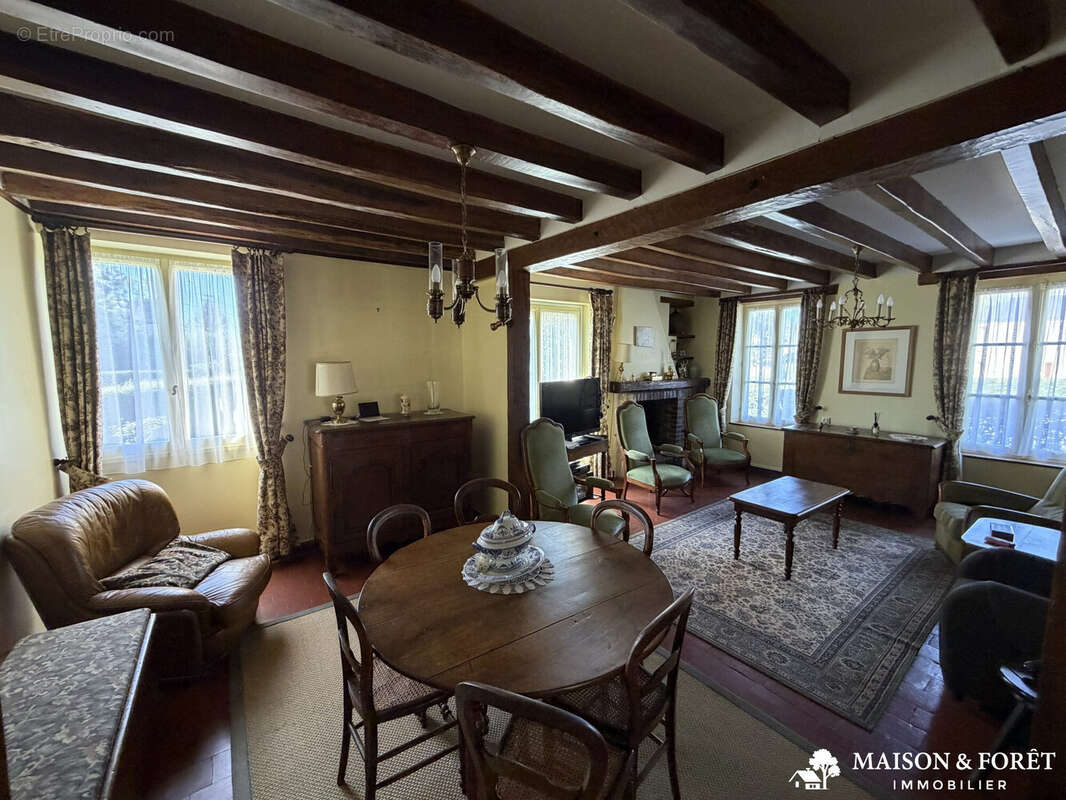 Maison à OUZOUER-SUR-TREZEE