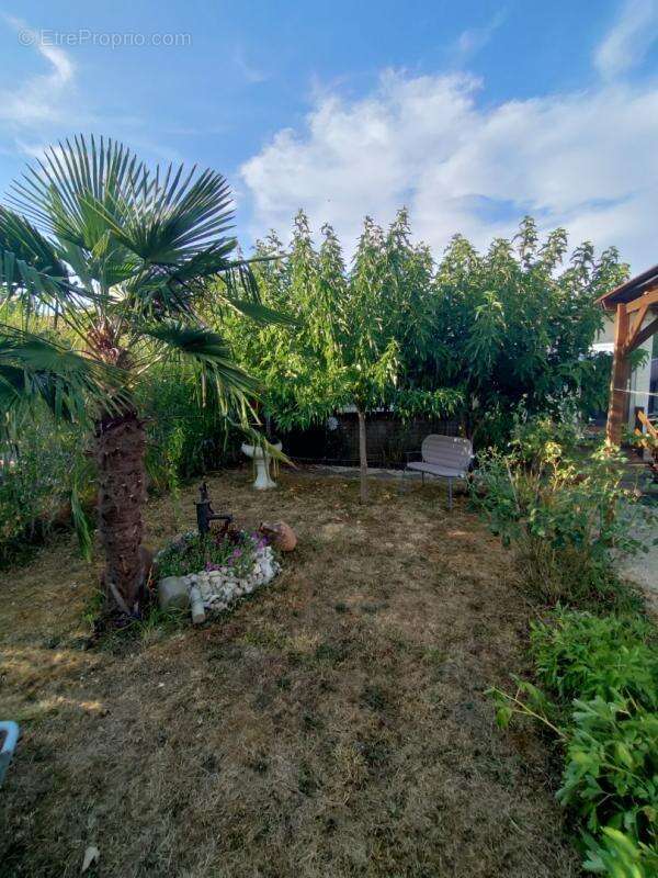 Maison 6 pièces / 38 m² / 85 000 EUR / SARAMON - photo 7
