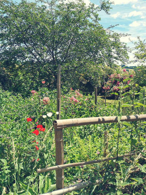 Maison d'artiste avec jardin botanique, source - Terrain 1,6 hectare - photo 35