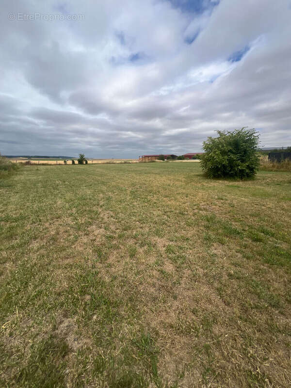Terrain à LA VILLE-AUX-BOIS-LES-PONTAVERT