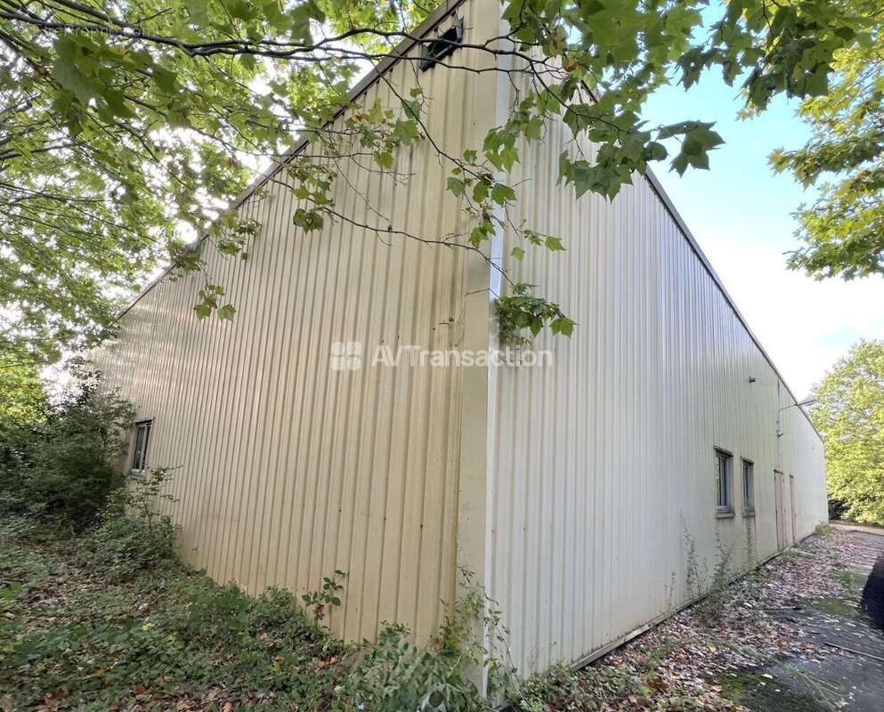 Autre à ORGEVAL