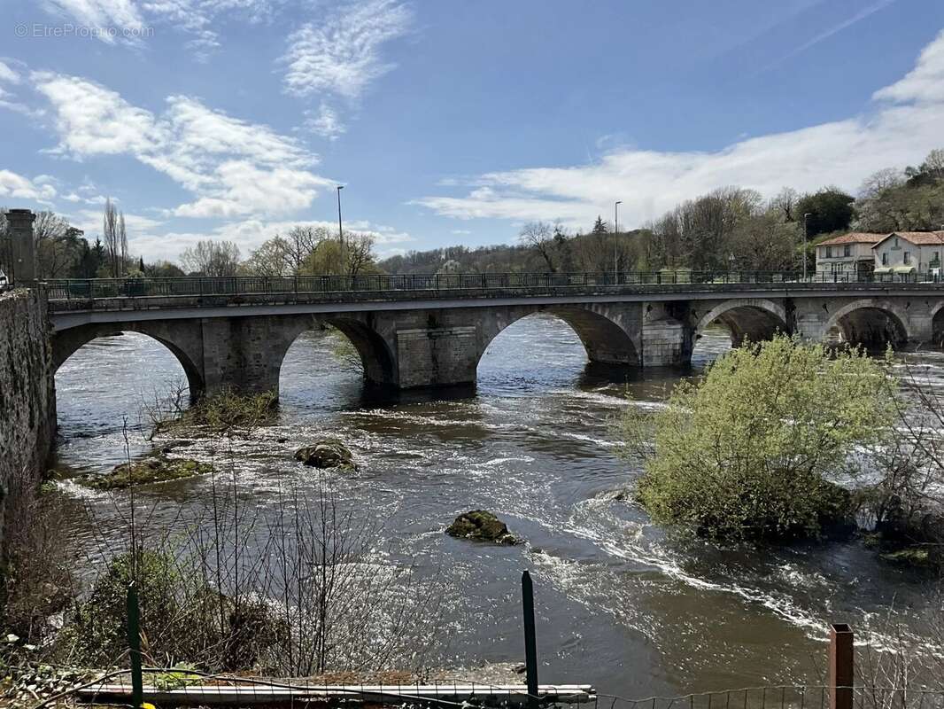 Bien rare et unique: Château à rénover situé sur une île - photo 10
