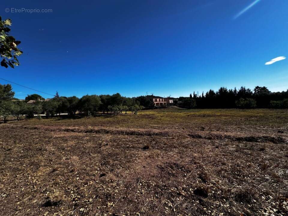 Terrain à PUGET-SUR-ARGENS