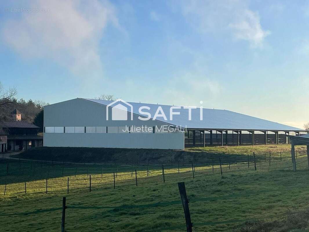 Photo 5 - Maison à SAINTE-FOY-LA-GRANDE