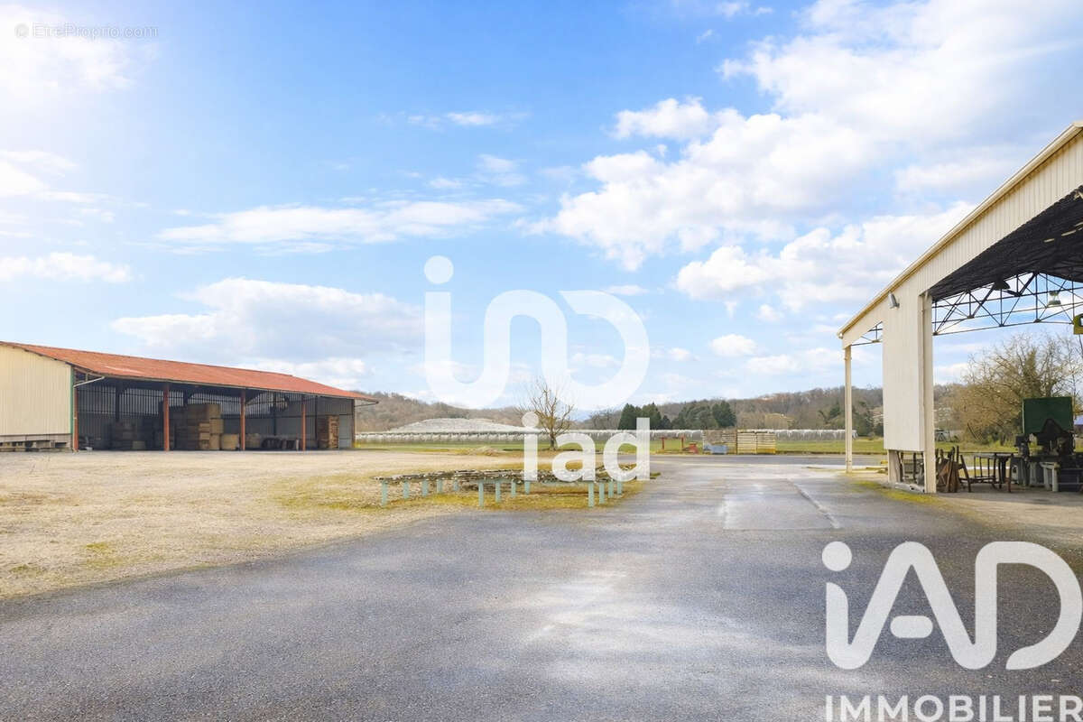 Photo 4 - Terrain à LAFRANCAISE