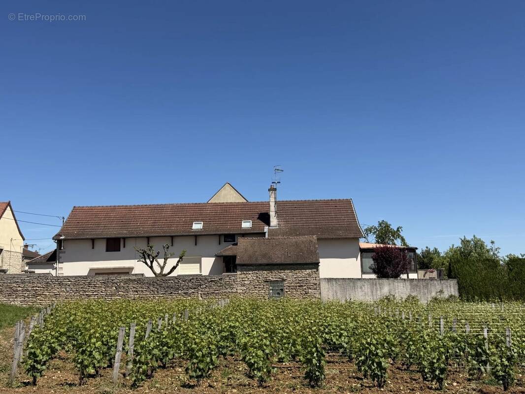 Maison à MARSANNAY-LA-COTE