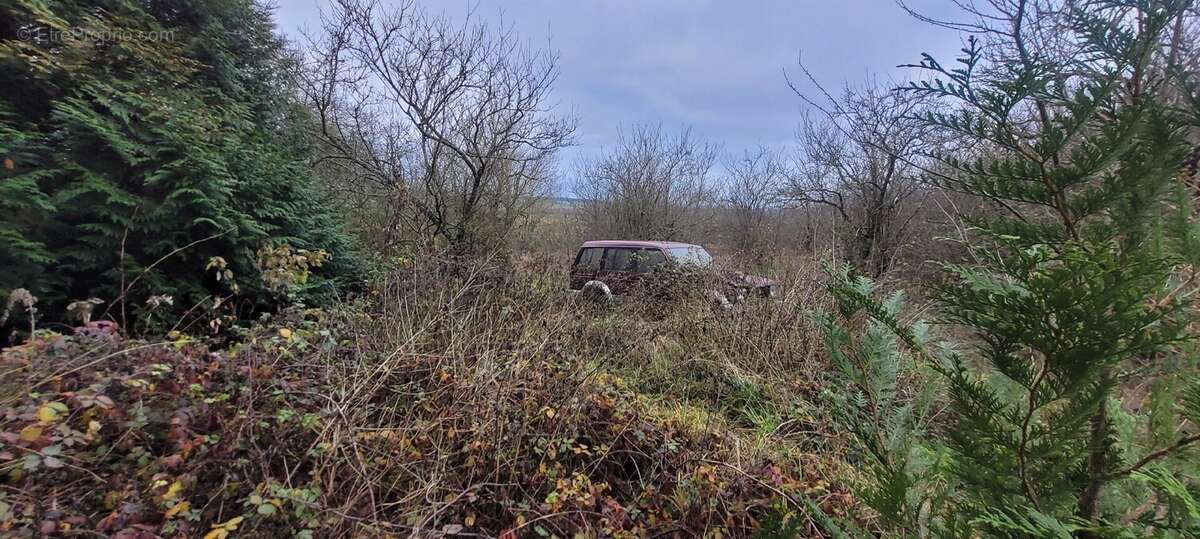 Maison à LANEUVEVILLE-EN-SAULNOIS