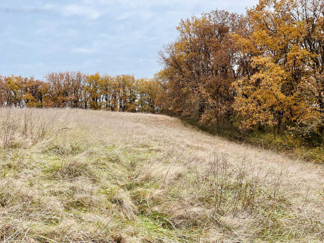 Terrain à BEAUMONT-DE-LOMAGNE