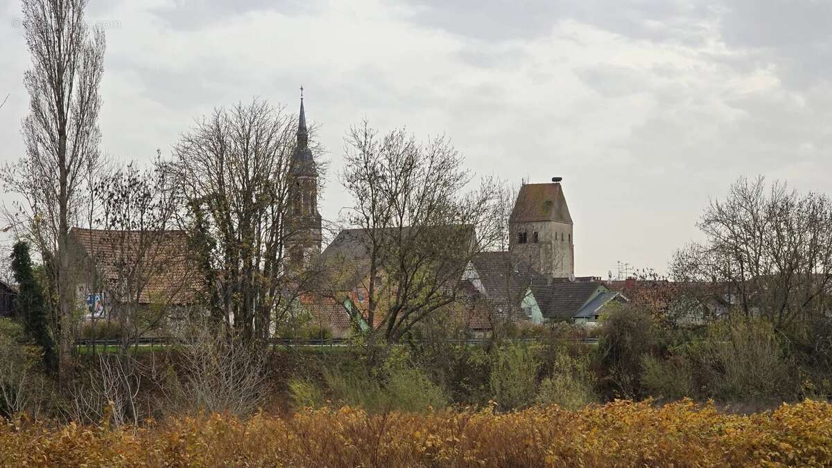 Terrain à REGUISHEIM