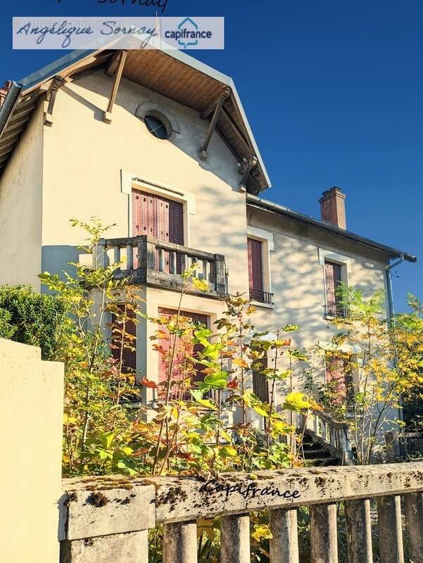 En exclusivite lons le saunier (39) maison de ville  5 min du centre-ville – jardin - photo 26