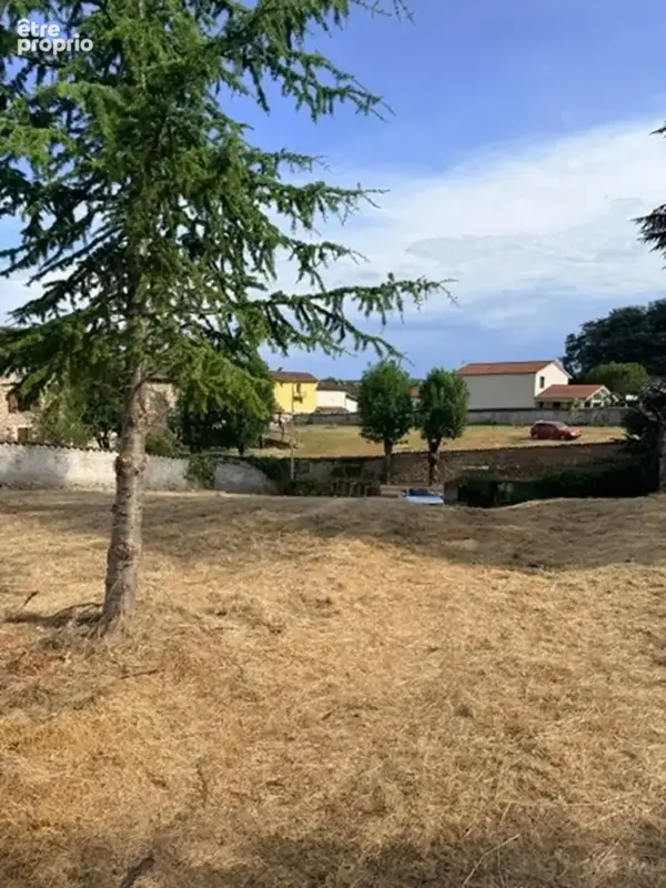 Terrain à BAS-EN-BASSET