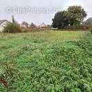 Terrain à ATHIS-DE-L&#039;ORNE