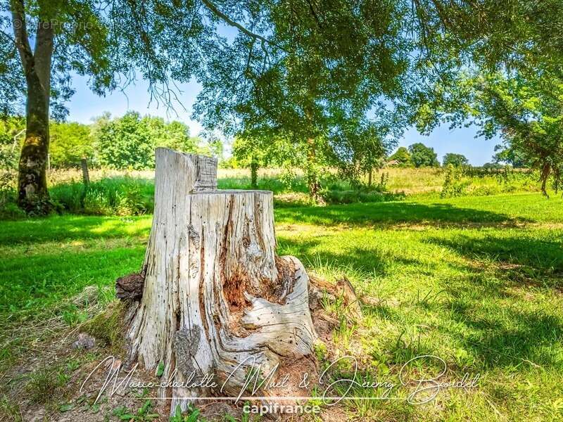 Longère de caractère avec parc arboré - photo 38