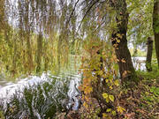 Maison à BAGNEAUX-SUR-LOING