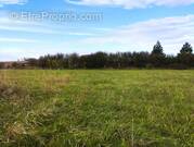 Terrain à SAINTE-COLOMBE