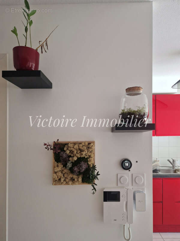 Maison à VILLENEUVE-TOLOSANE