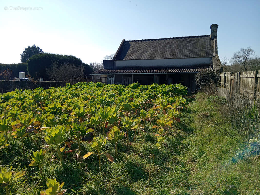 Maison à PLOEMEL