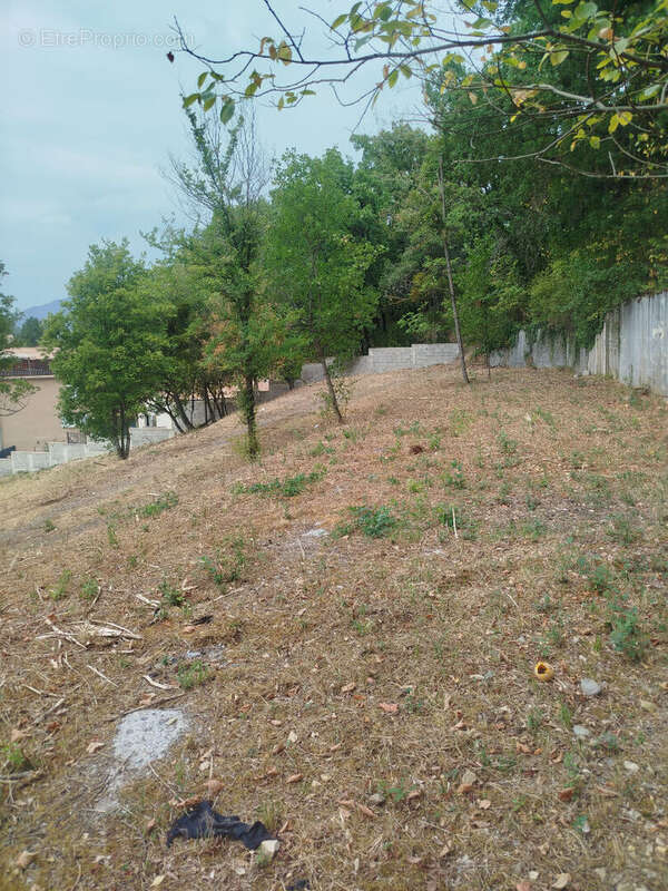 Terrain Digne Les Bains 1133 m2 - photo 5
