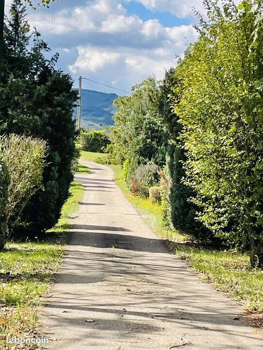 Terrain à CHARNAY-LES-MACON