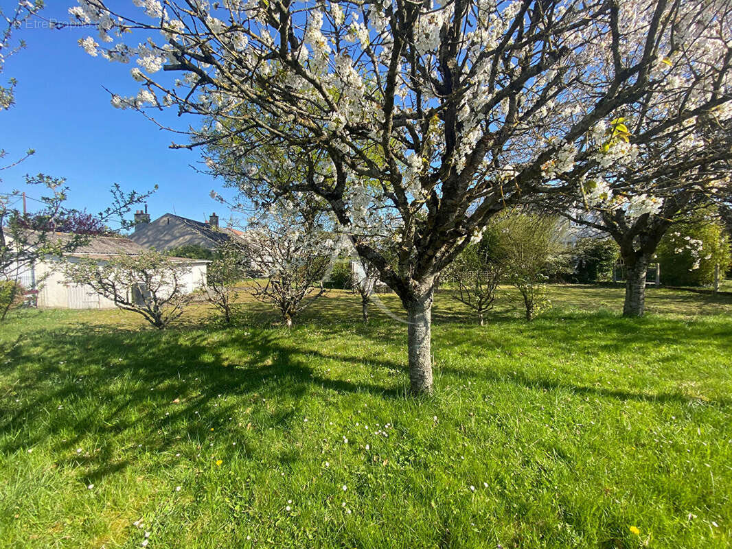 Terrain à NEUVILLE-AUX-BOIS