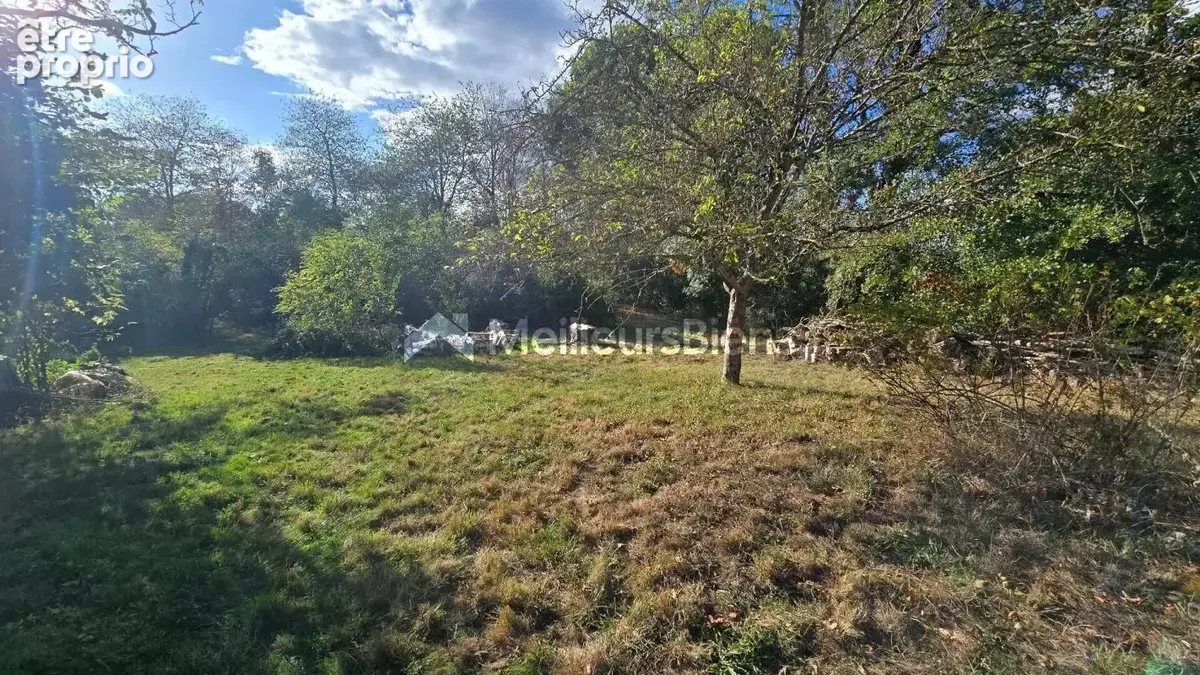 Terrain de loisirs avec hangar - photo 3