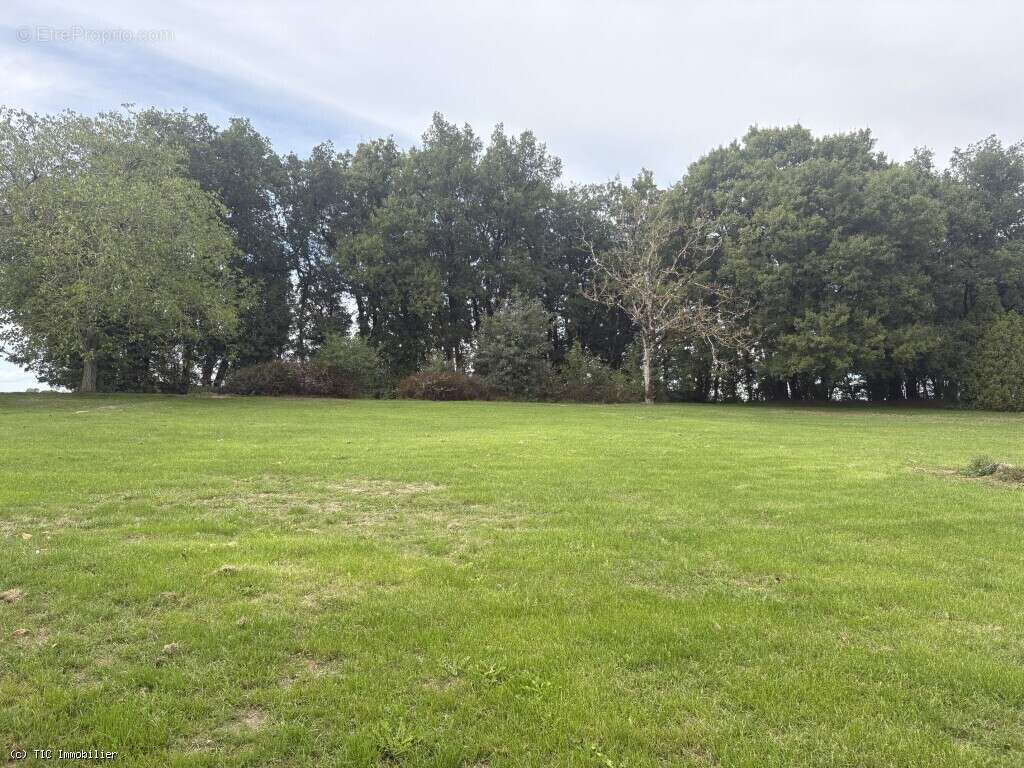 Maison à VILLEFAGNAN