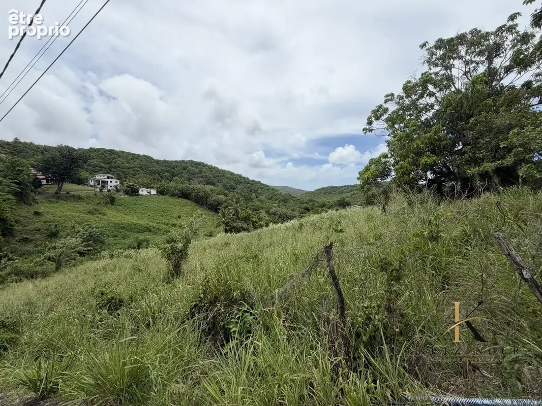 Terrain 7 823 m² à vendre à Riviere-Salee (97215) - photo 6