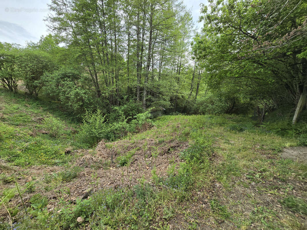 Terrain à LE MAYET-DE-MONTAGNE