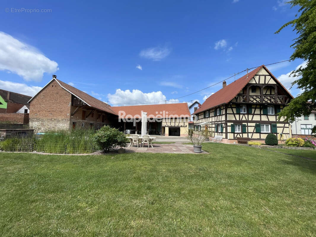 Terrain à SAESSOLSHEIM