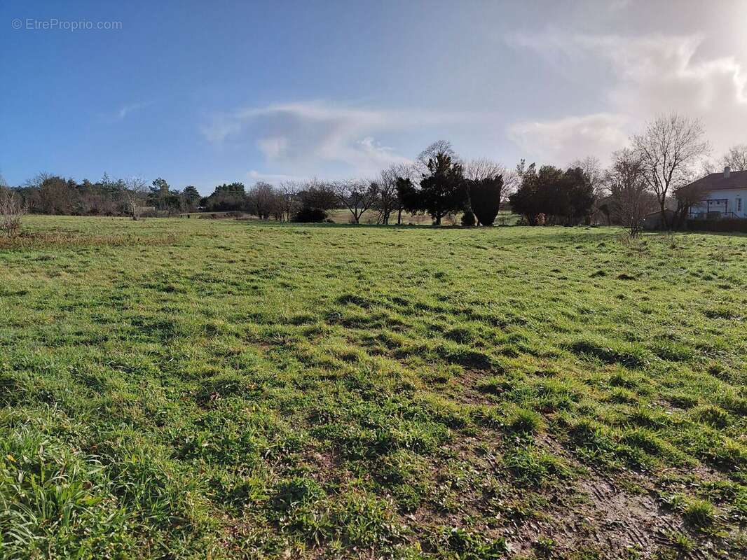 Terrain à PONT-L'ABBE-D'ARNOULT