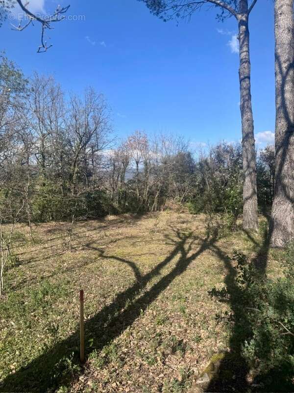 Terrain à LA ROQUE-D'ANTHERON