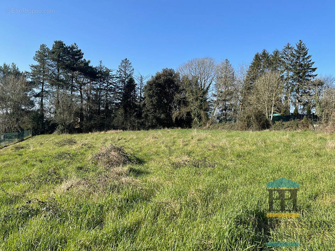 Terrain à VILLANDRAUT