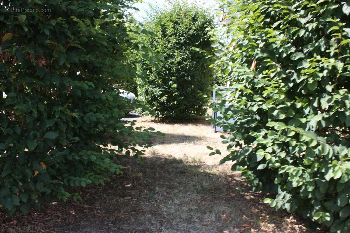 Appartement à CAZERES