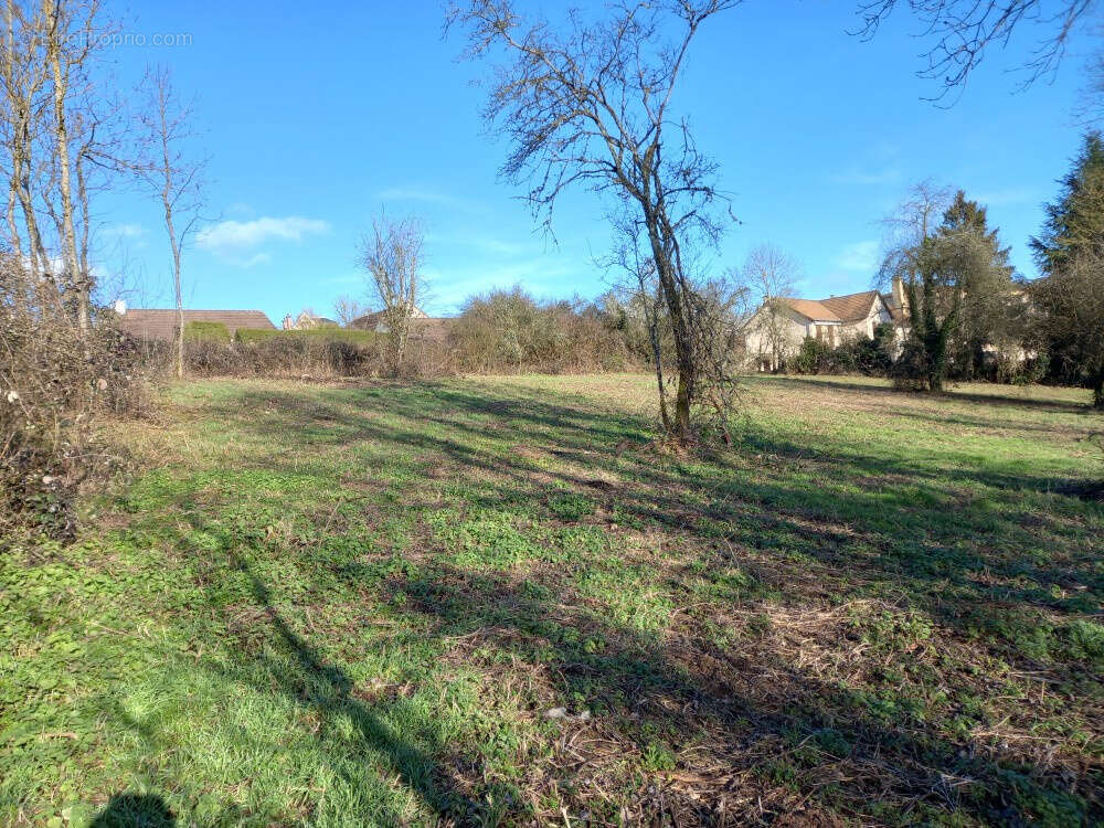 Terrain à ARNAY-LE-DUC