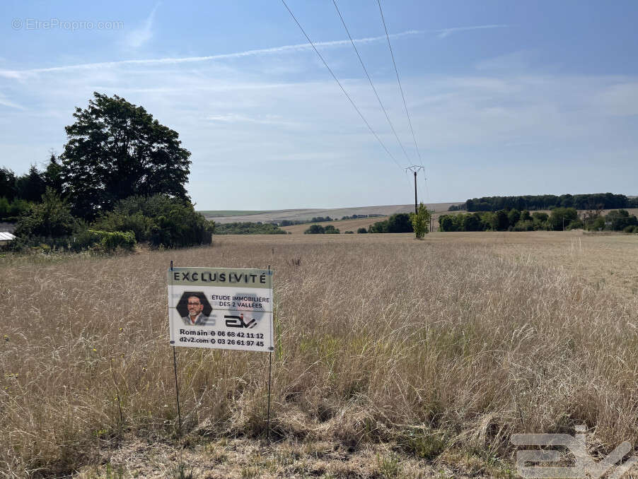Terrain à CHERY-CHARTREUVE