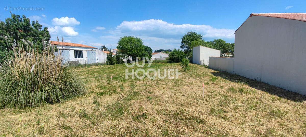 Terrain à SAINT-DENIS-D&#039;OLERON