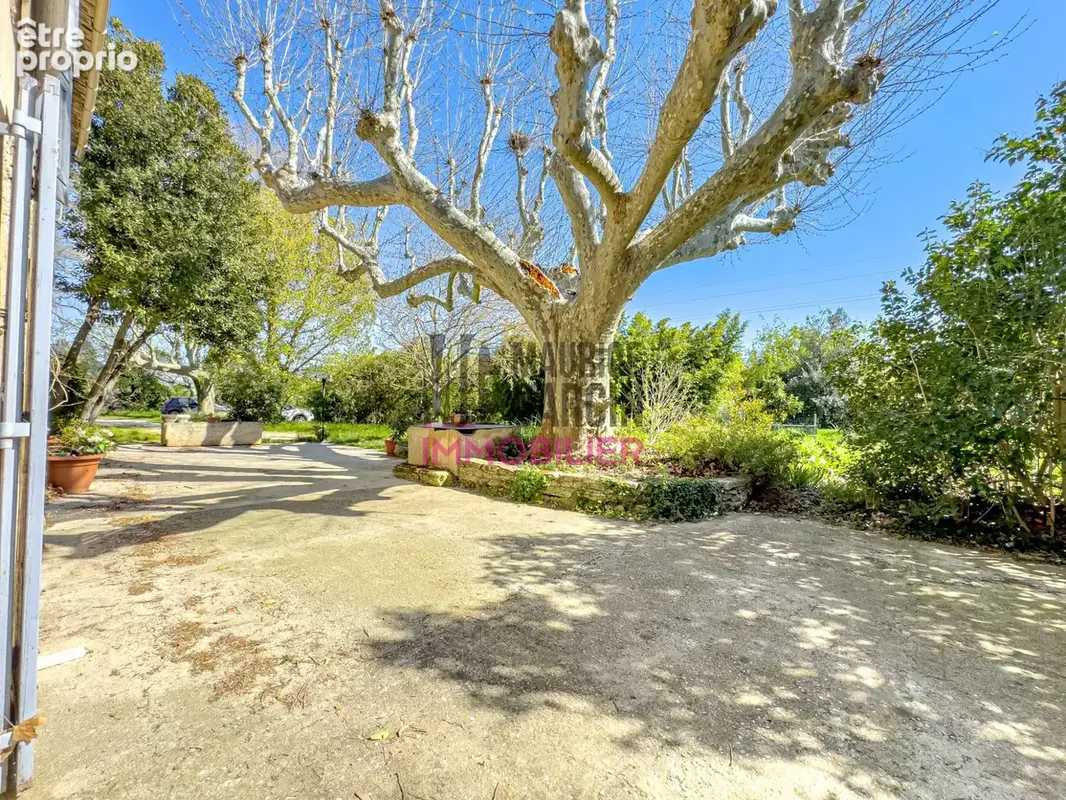 A vendre, à acheter Mas Provençal 84300 Cavaillon