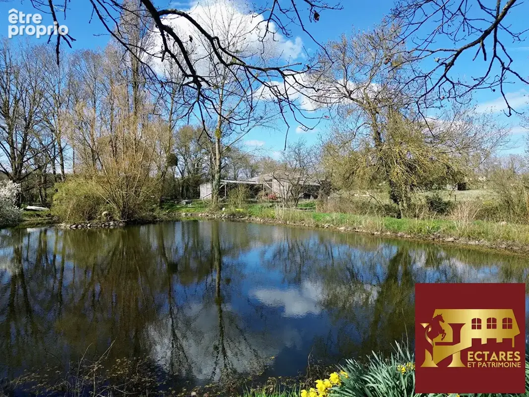 Propriété équestre, 10 hectares, 2 maisons - photo 4