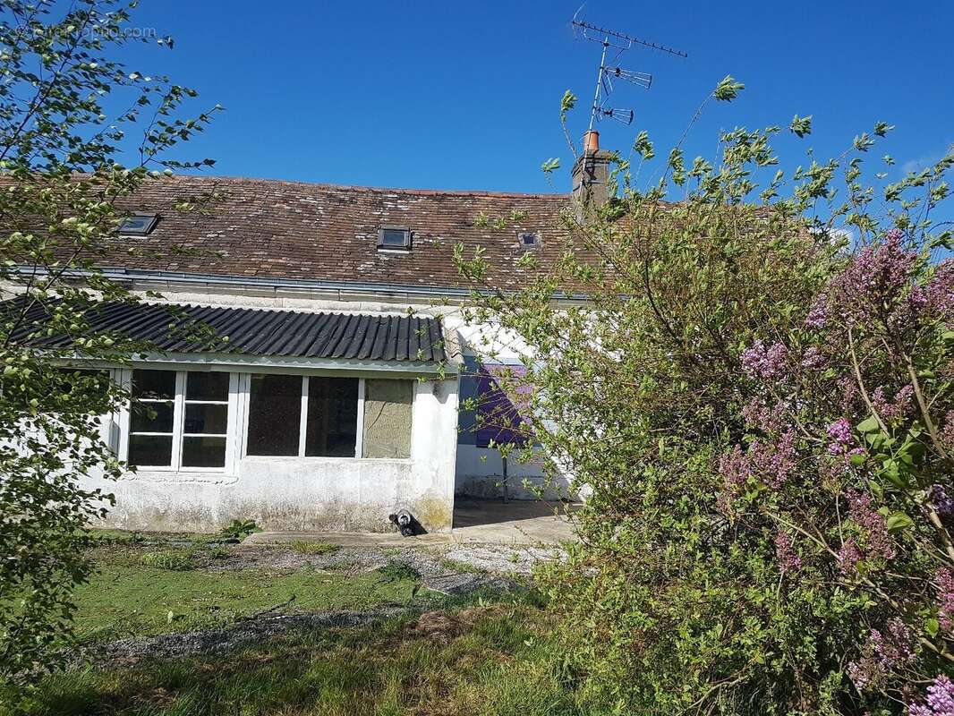 Maison à LOUAILLES