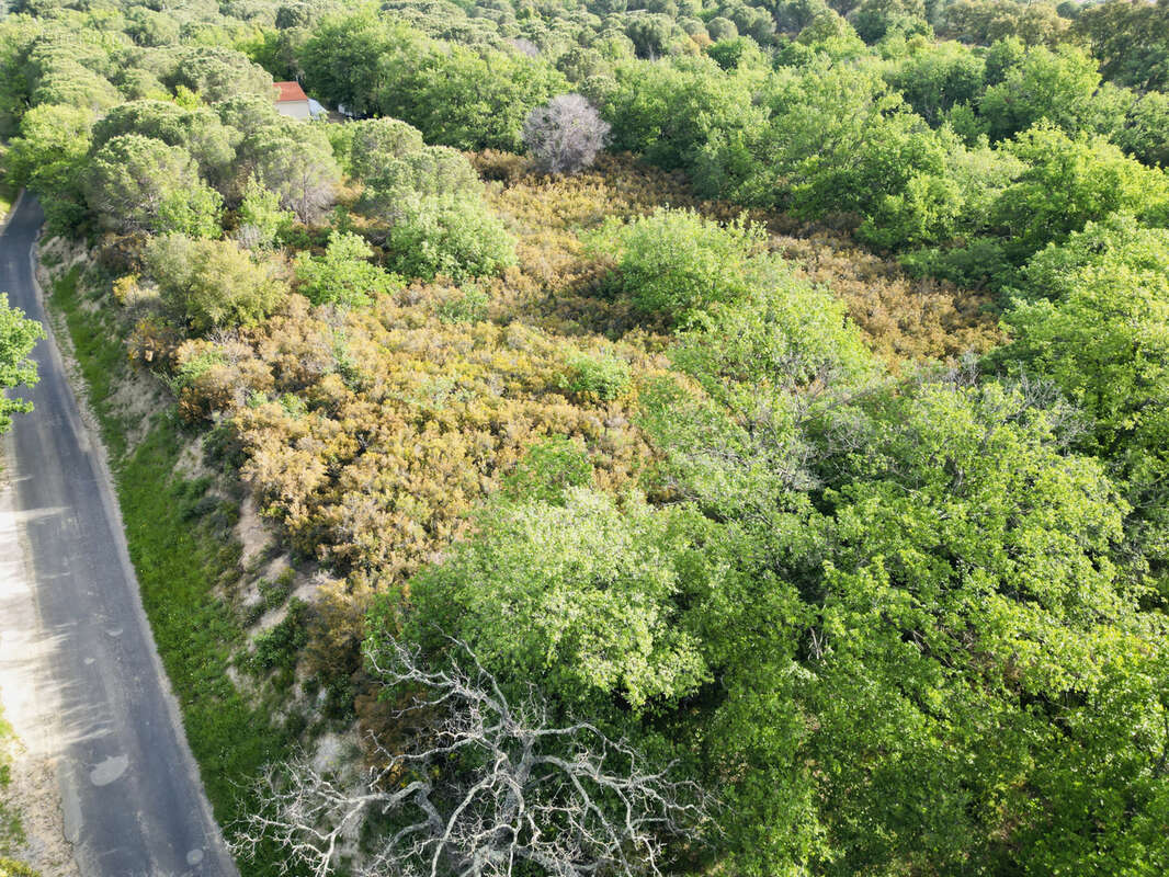 Terrain à ARGELES-SUR-MER
