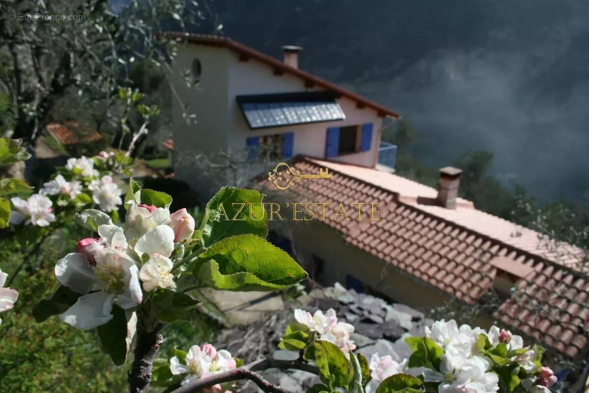 Maison à BREIL-SUR-ROYA