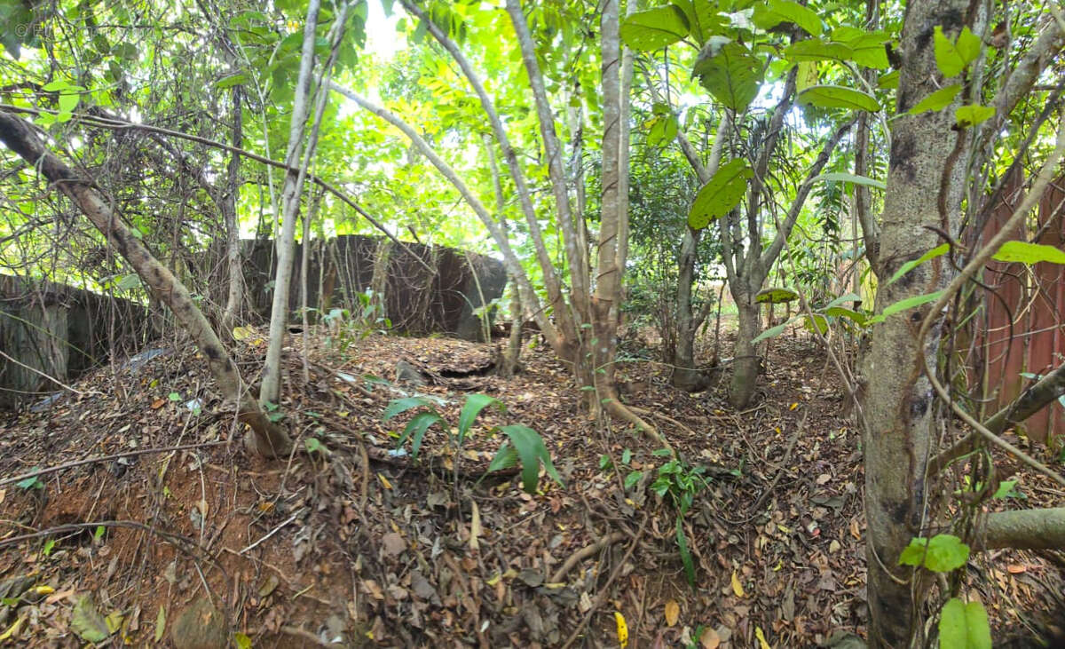 Terrain à REMIRE-MONTJOLY