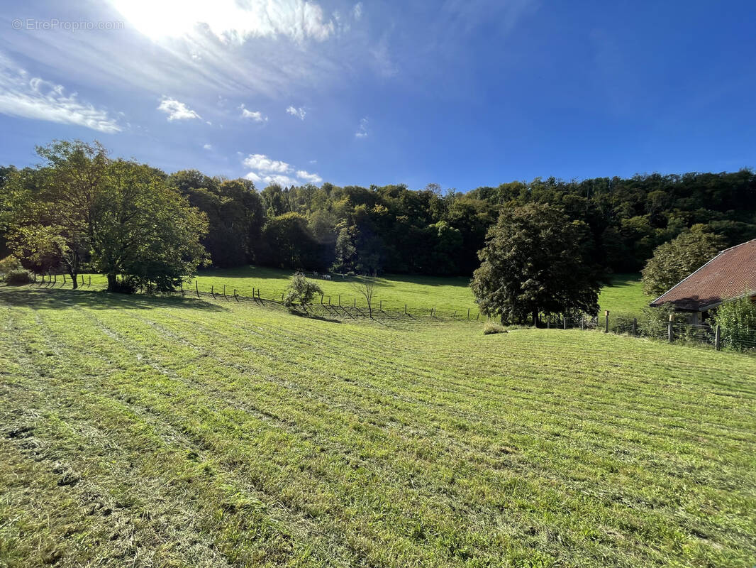 Terrain à SAULNOT
