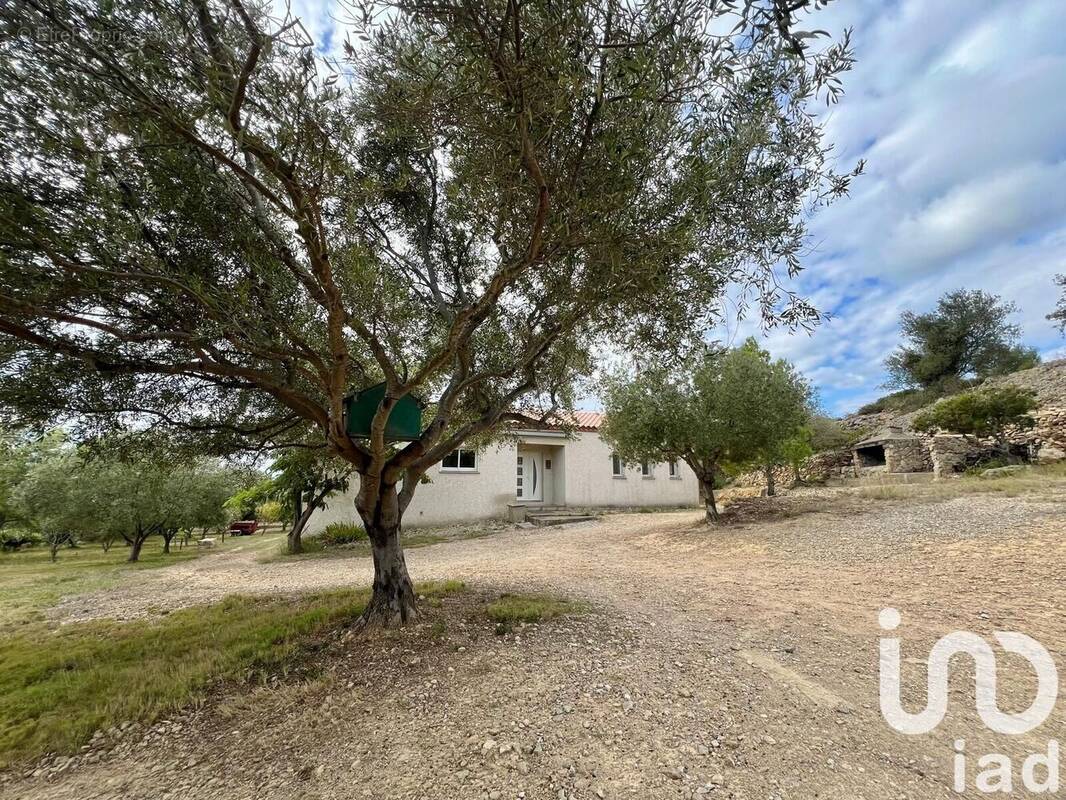 Photo 1 - Maison à FITOU