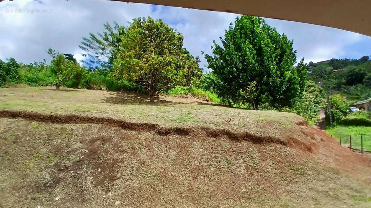 Terrain à SAINT-ESPRIT