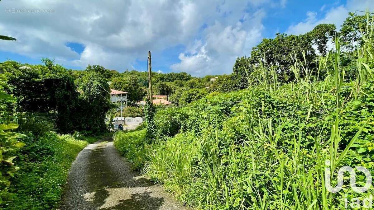 Photo 5 - Terrain à LE GOSIER