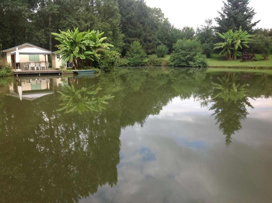 Photo 5 - Terrain à CHATEAU-GONTIER