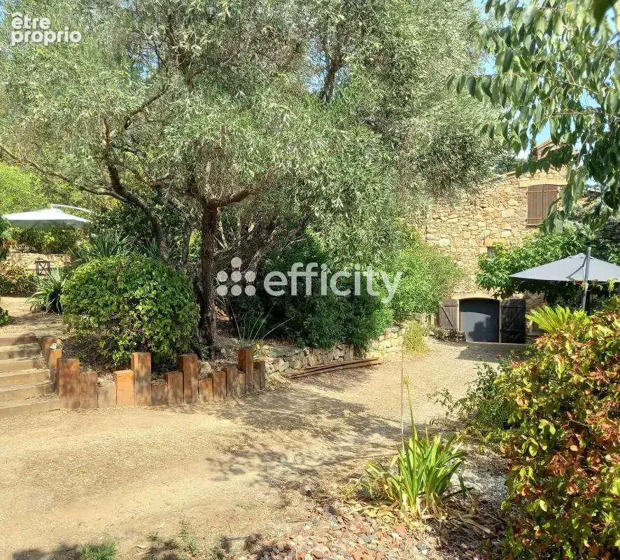 Maison en pierres - photo 33